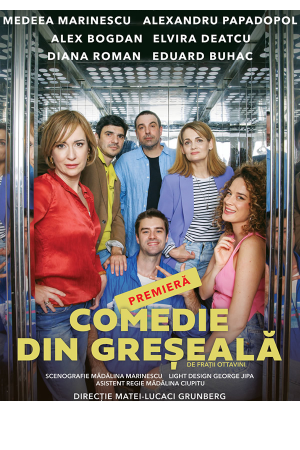 Comedie din greseala afis